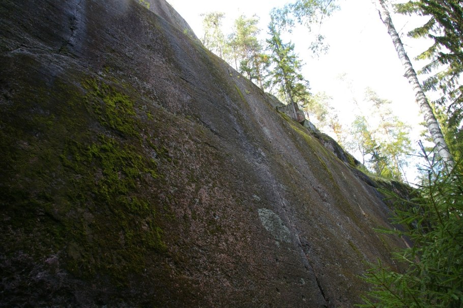 Скальный массив цветок Выборг