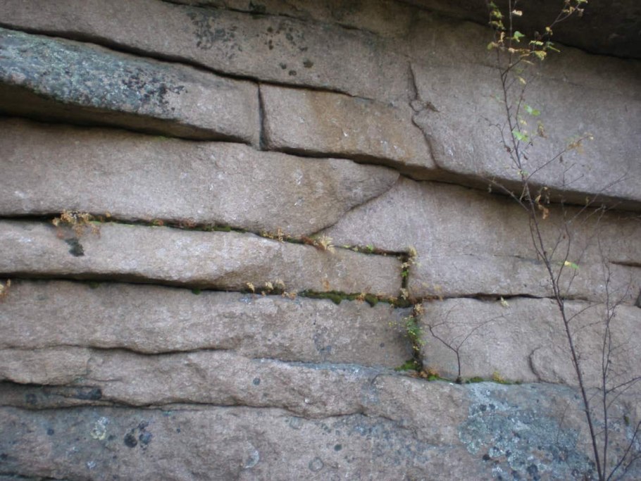 Лишайник тундра камни