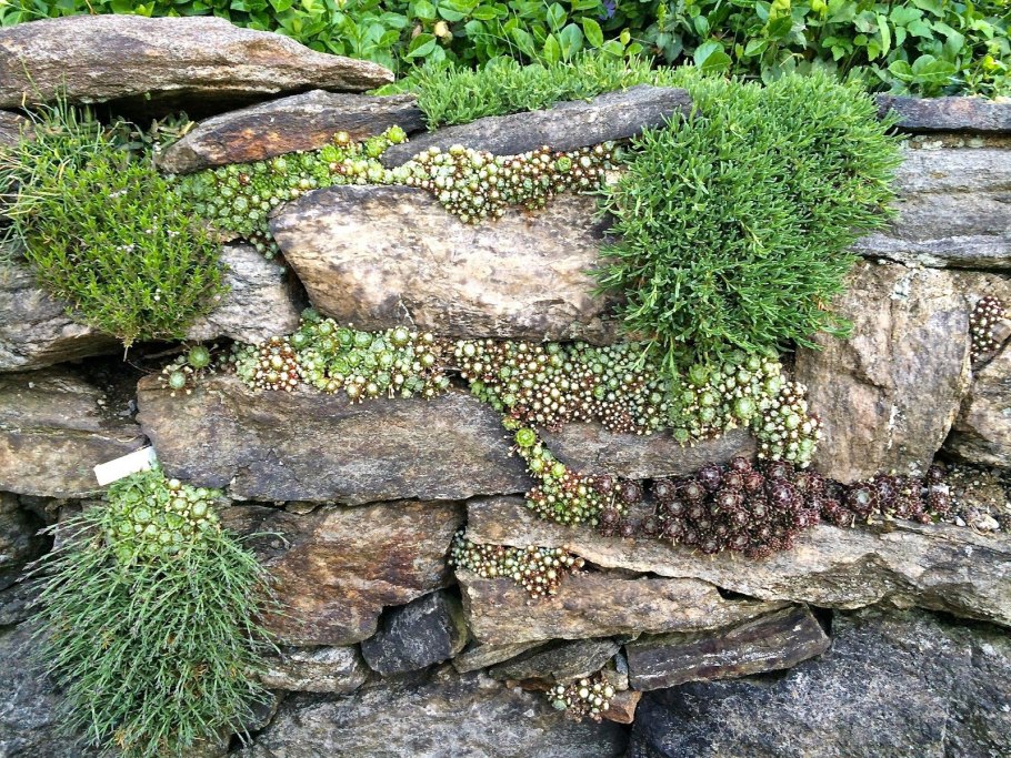 Плоская скала