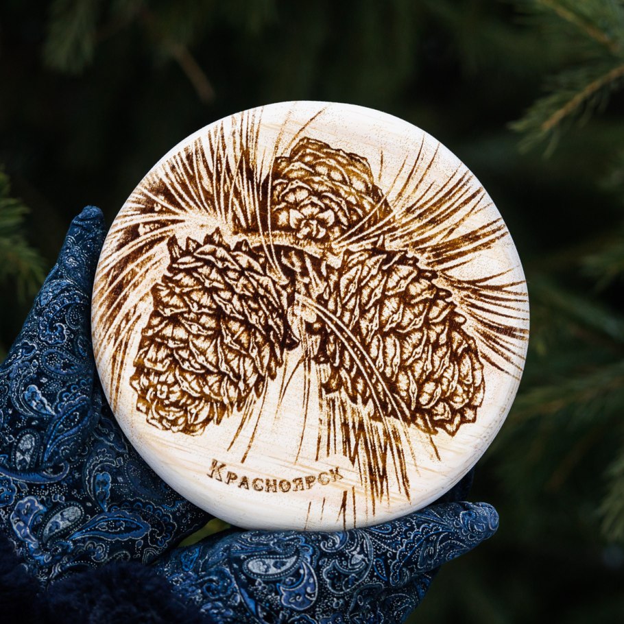 Pinus sibirica шишки