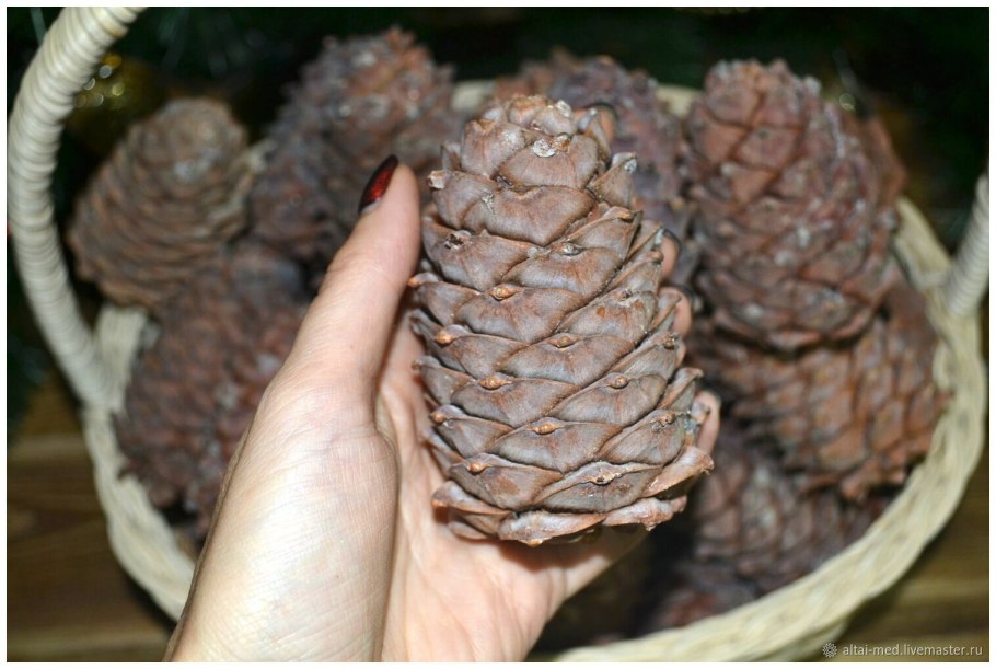 Шишки с орехами