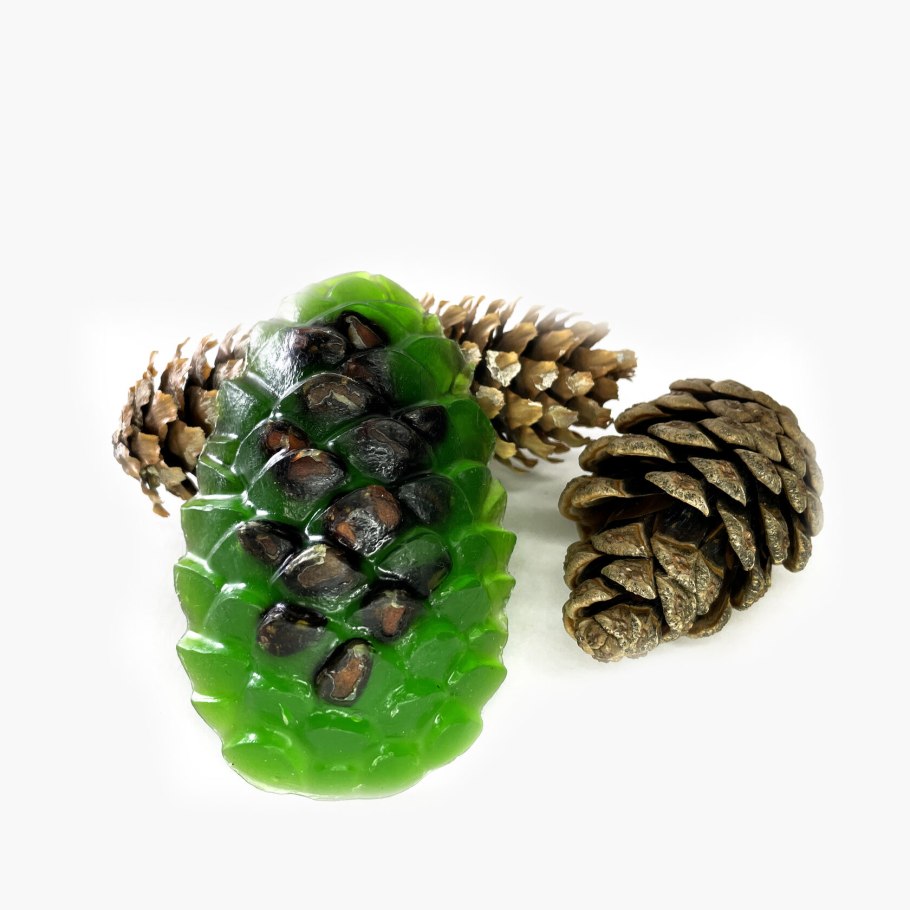 Кедровая ветка