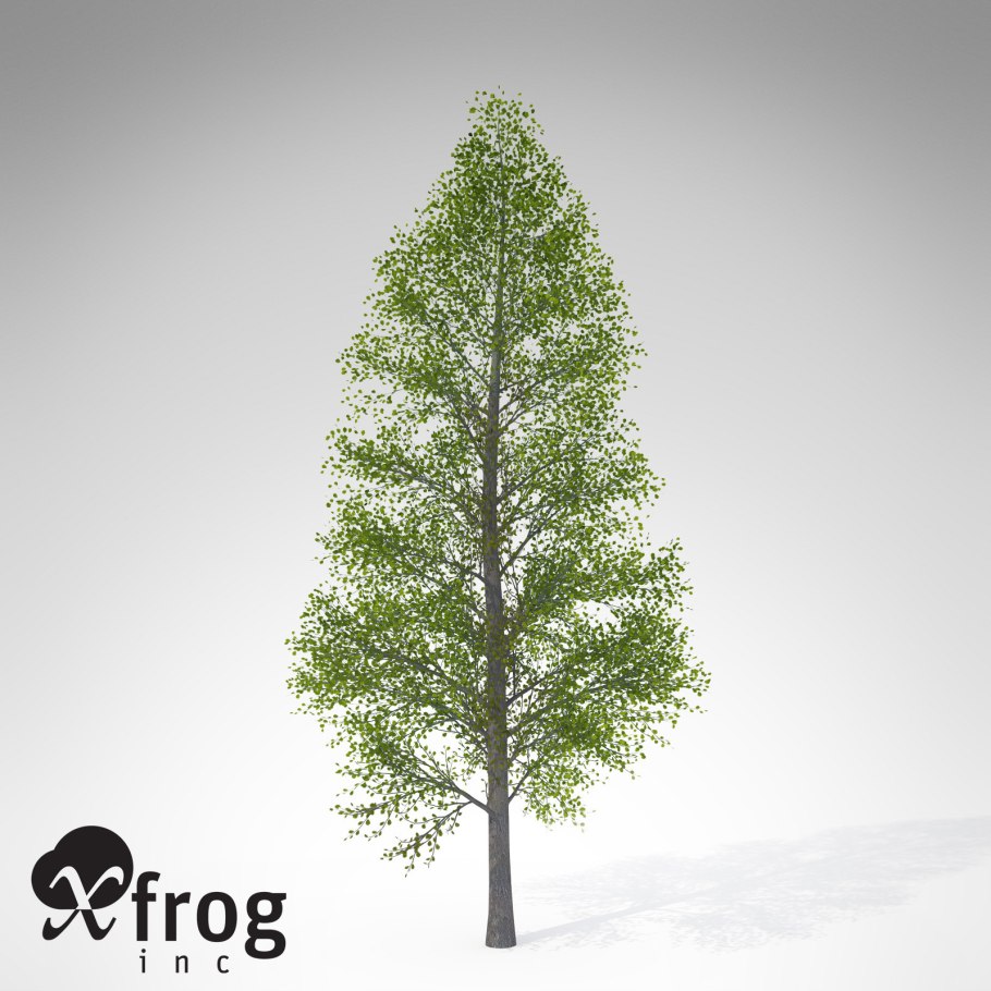 Ольха бородатая