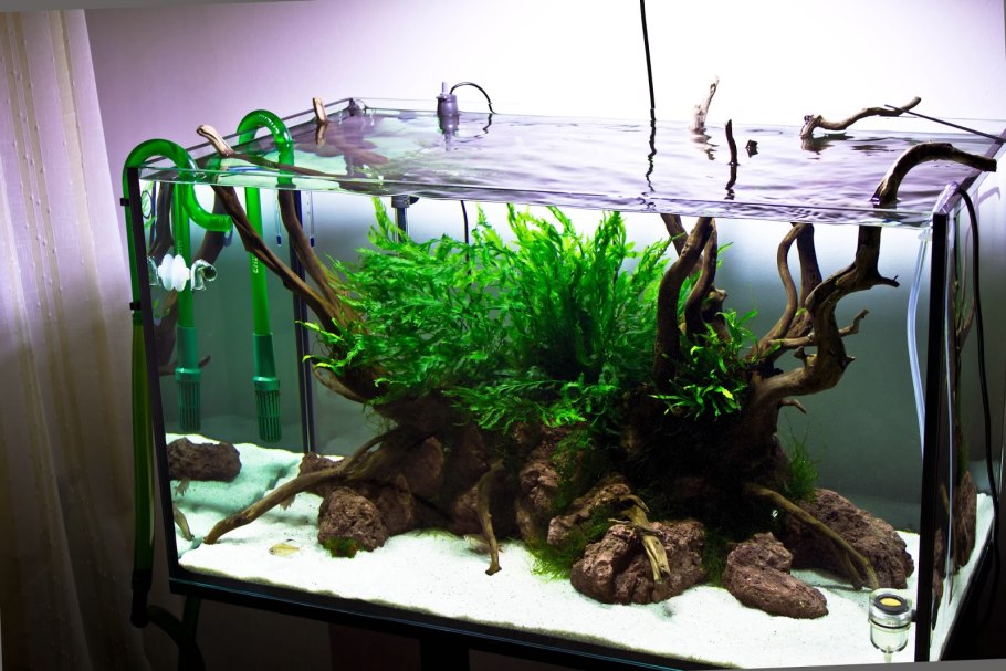 Аквариум BIORB Flow 15 led