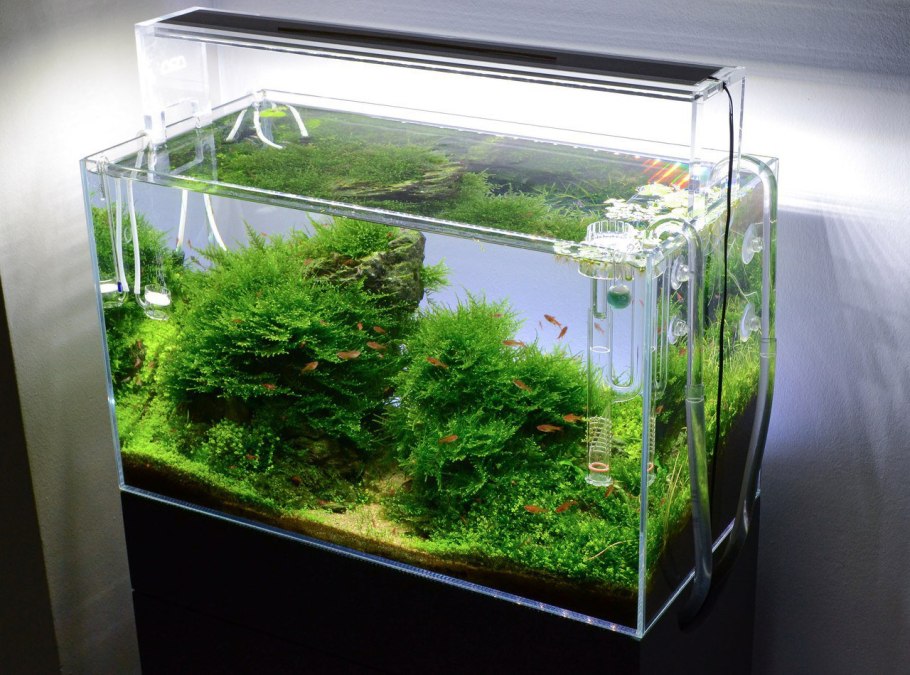 Аквариум BIORB Flow 30 led