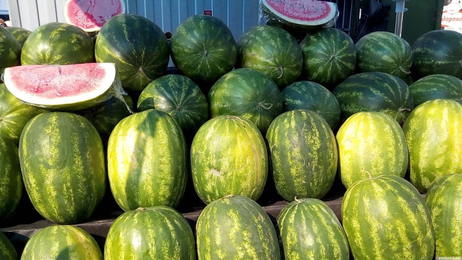 Арбуз бай