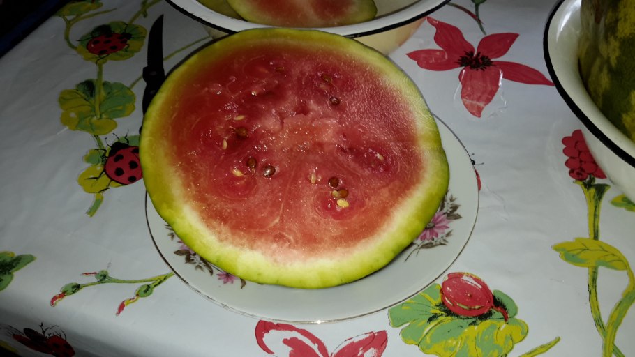 Миранда Арбуз ягоды