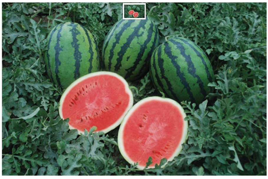 Почем арбузы в Нижнем Новгороде