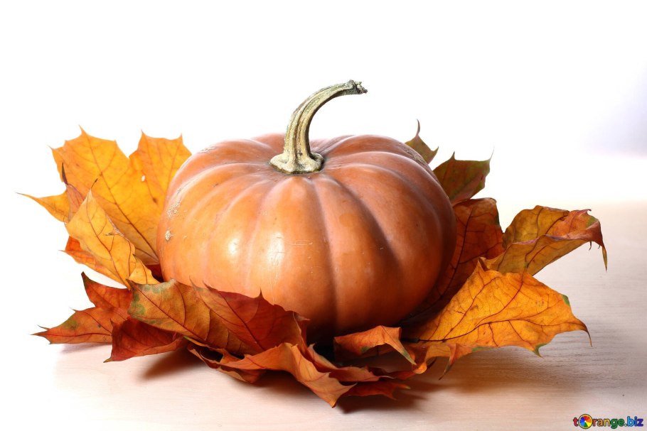 Листья тыквы