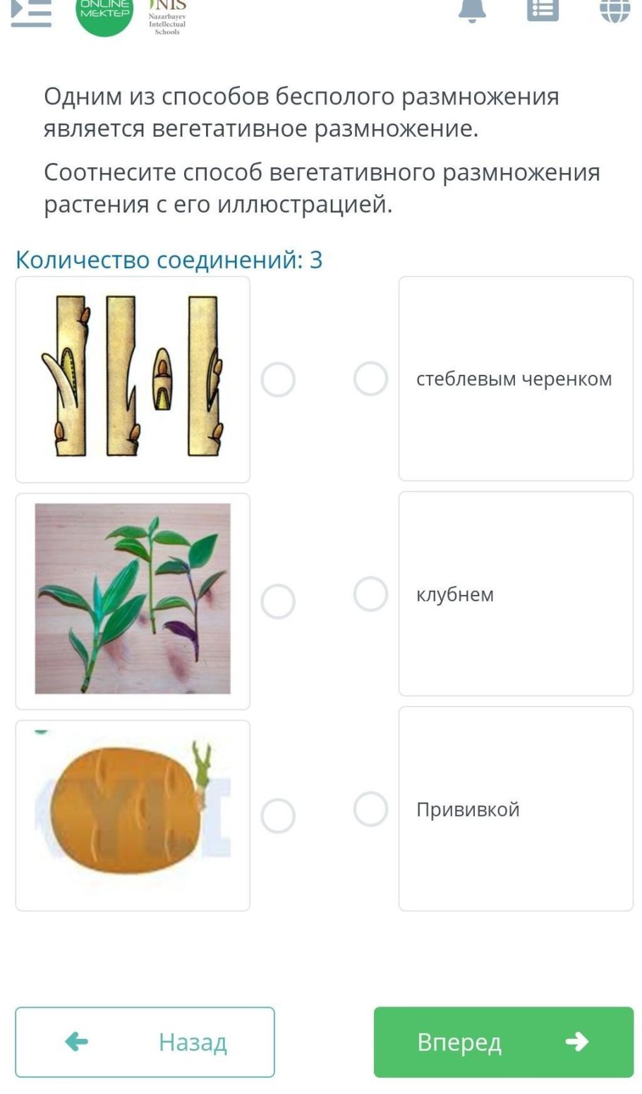 Способы вегетативного размножения цветковых растений