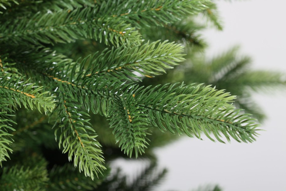 Picea likiangensis