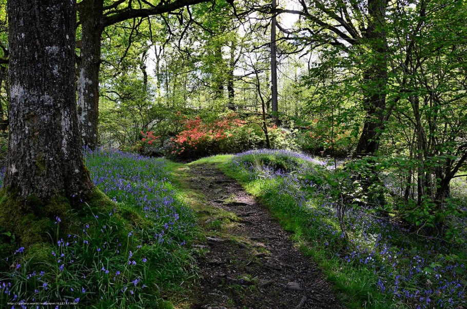 Арбекова развиваем связную речь 4-5 растения