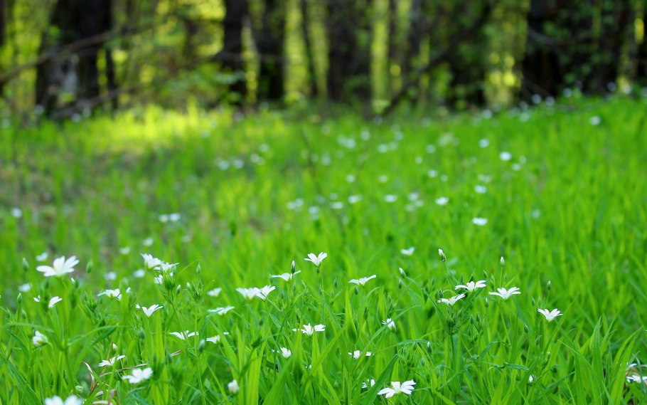 Стихи о природе