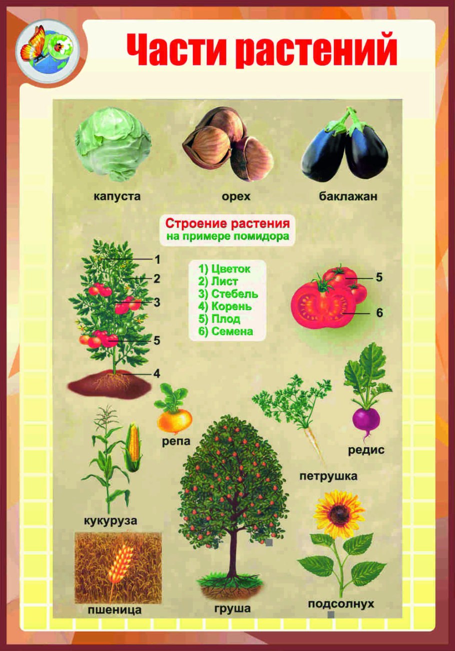 Весна в лесу