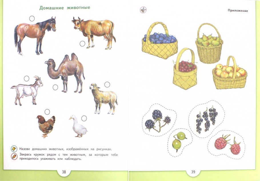 Тропинка культуры