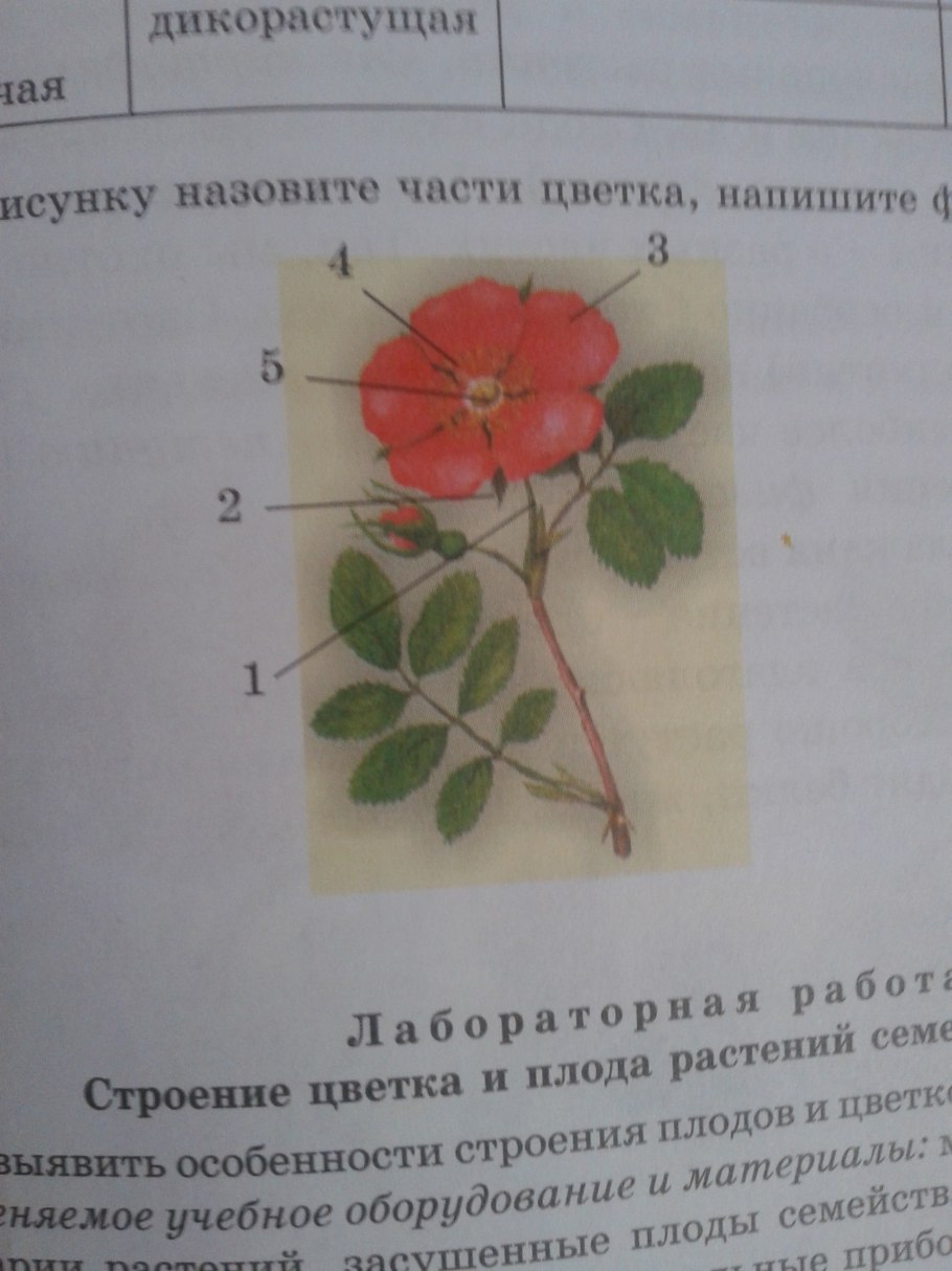 Зеленая тропа Серпухов