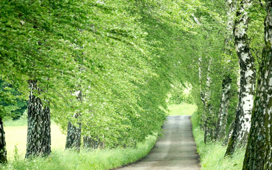 Природа легкая