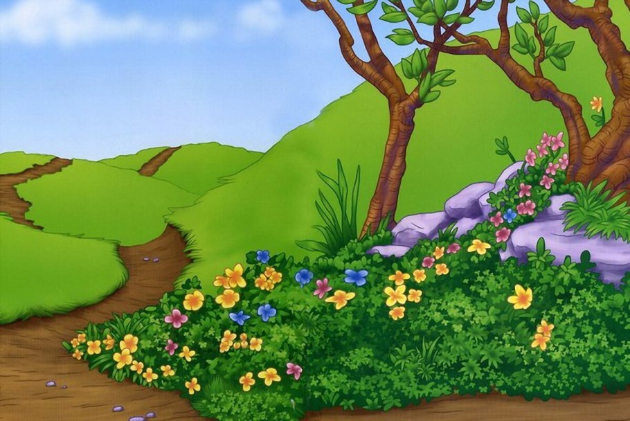 Белые цветы в лесу у дороги