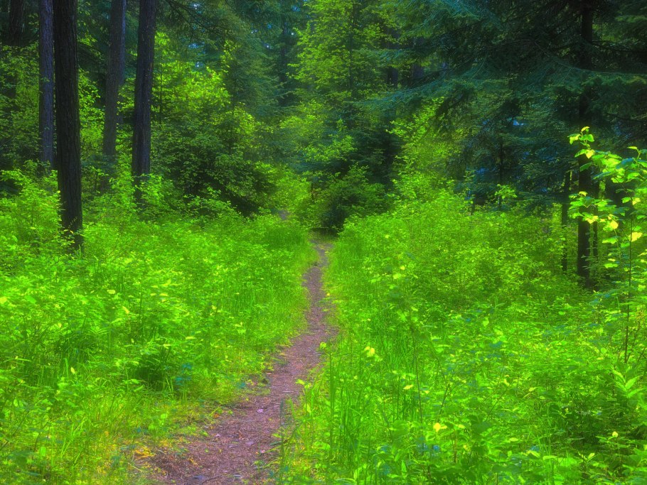 Дорожки с зеленью