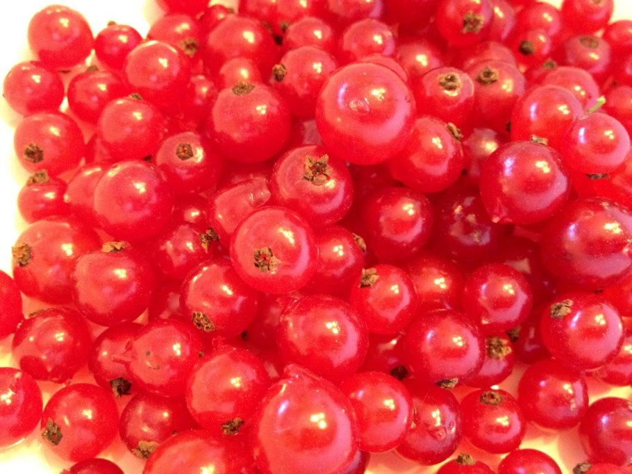 Смородина черная Канахама