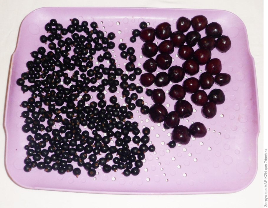 Смородина черная диковинка