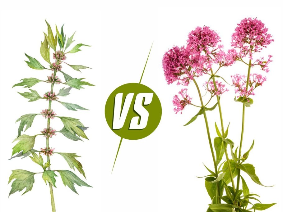 8 Полезных трав