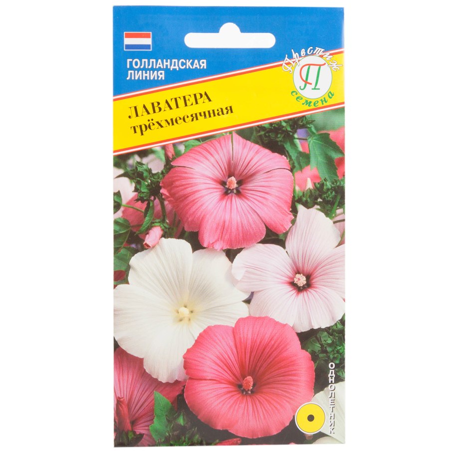 Лаватера розовая