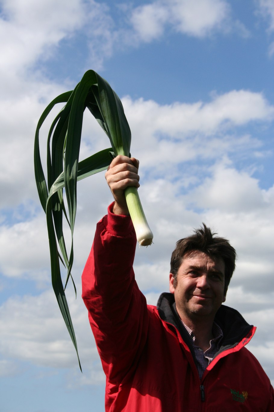 Видео “лук порей” лук порей Казимир описание сорта