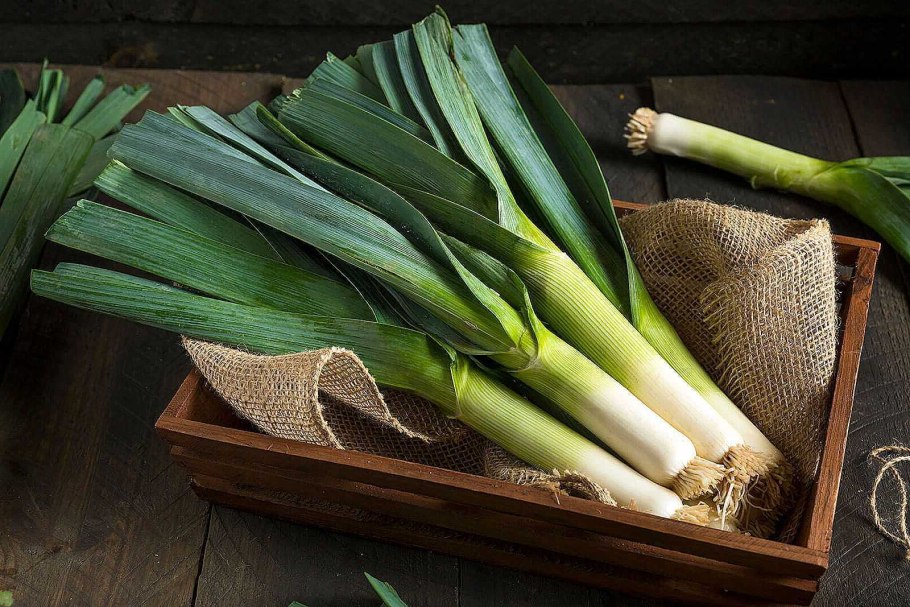 Жемчужный лук лук-порей