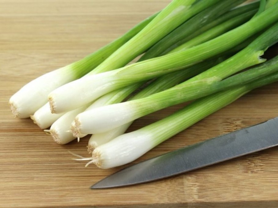 Замок Кардифф фестиваль