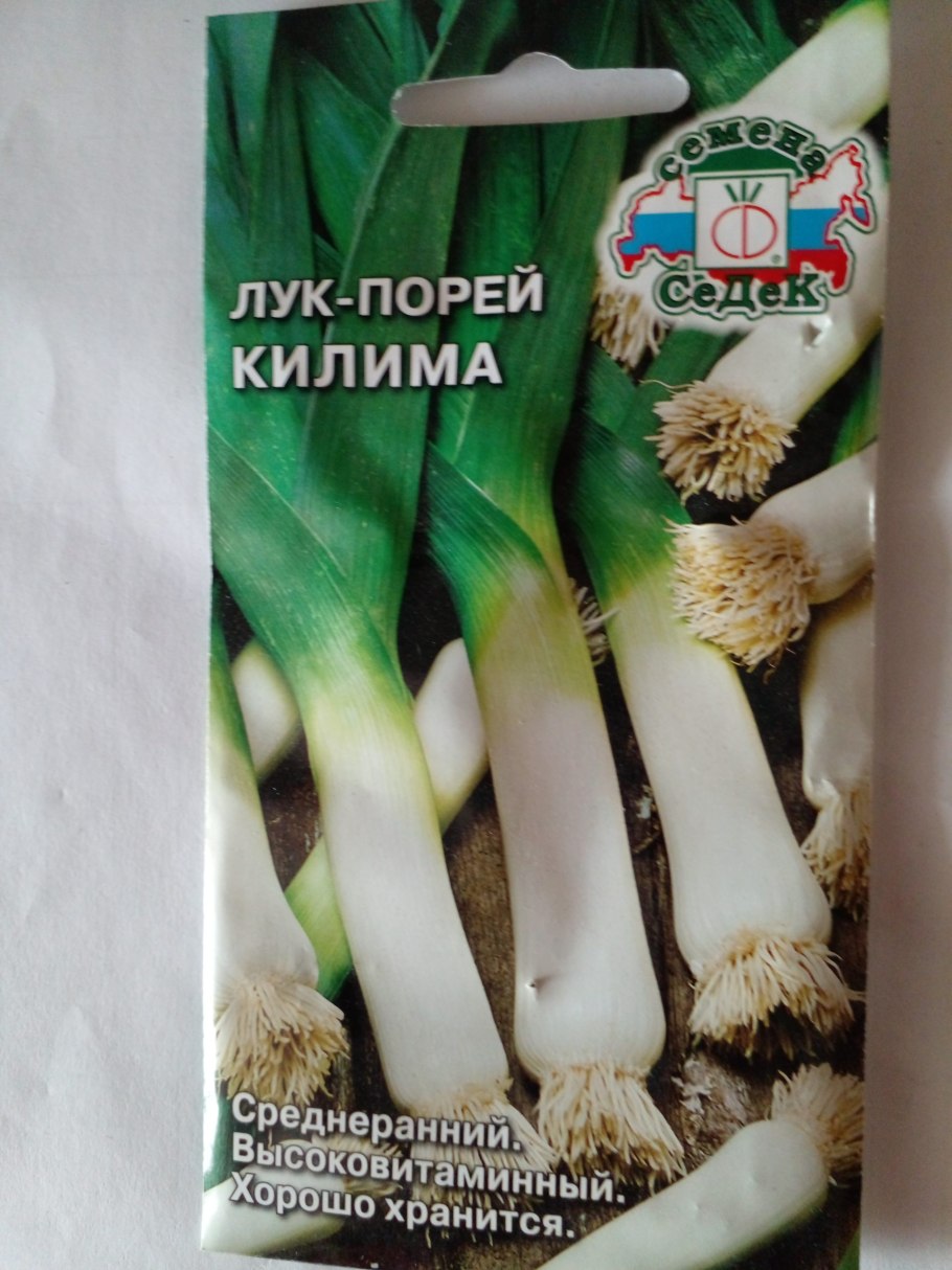 Лук порей вектор