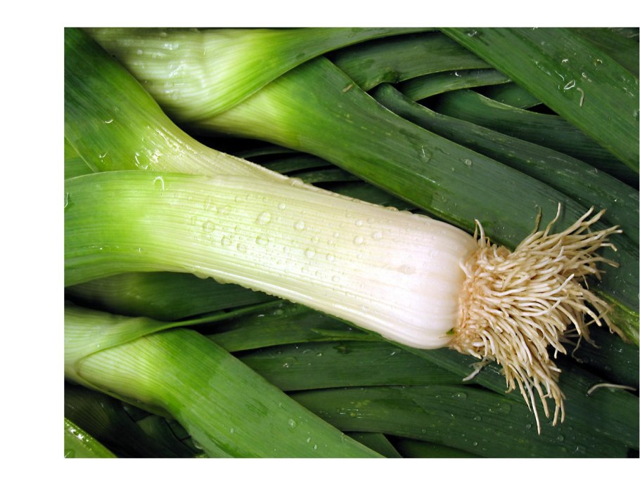 Лук порей танго