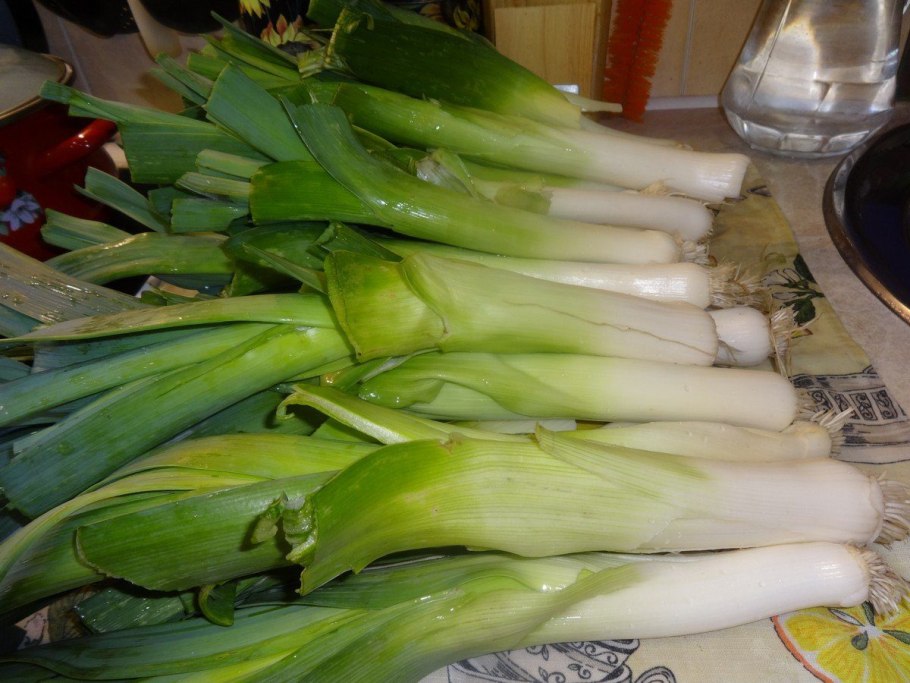 Лук-порей символ Уэльса