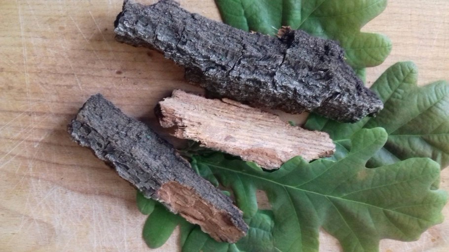 Дуб черешчатый(Quercus Robur) ареал