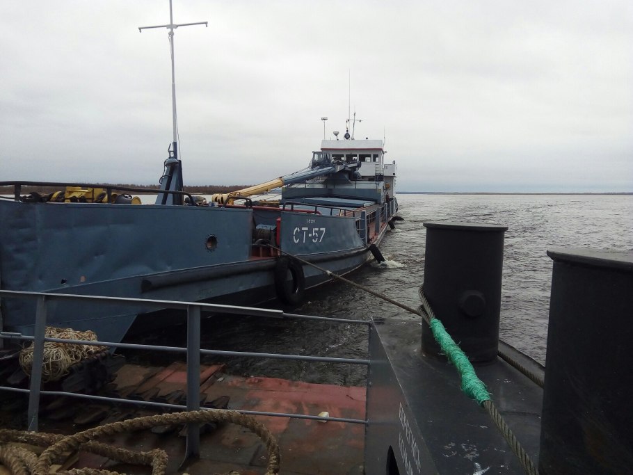 Черный Клевер серебряный Орел эмблема