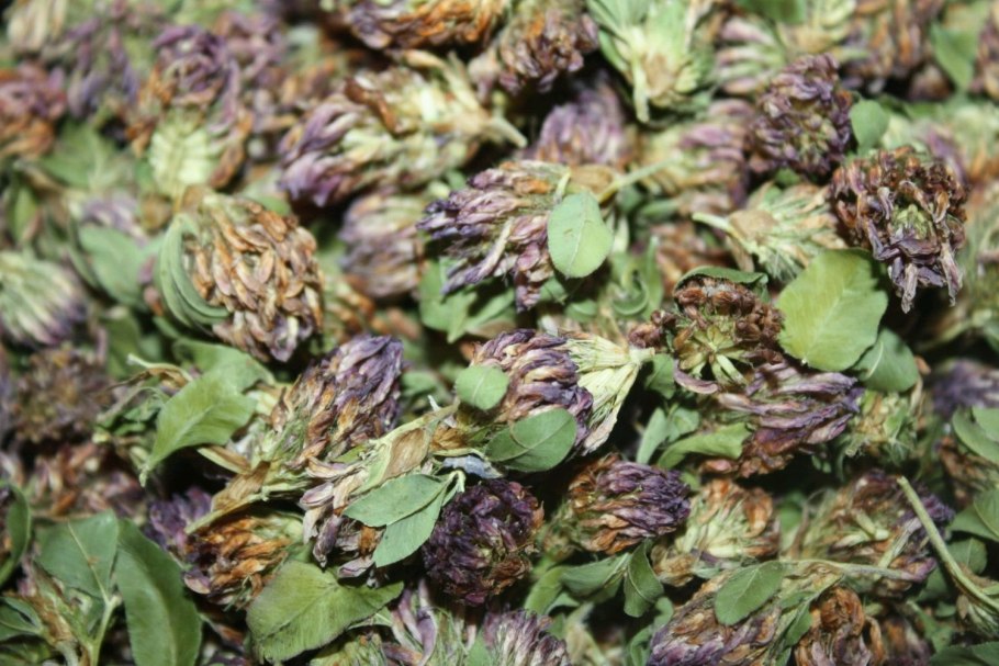 Открытие школы