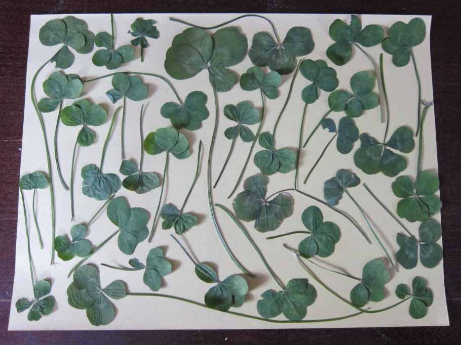 Палатка с эмблемой трилистника