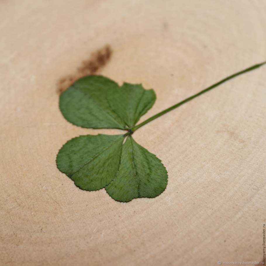 Старый Щельяюр