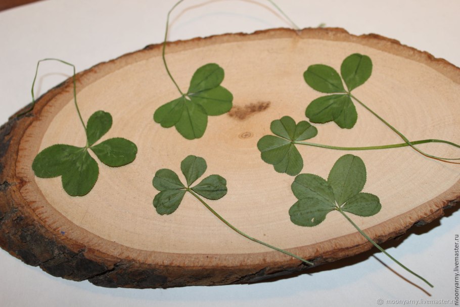 Трилистник и четырехлистник