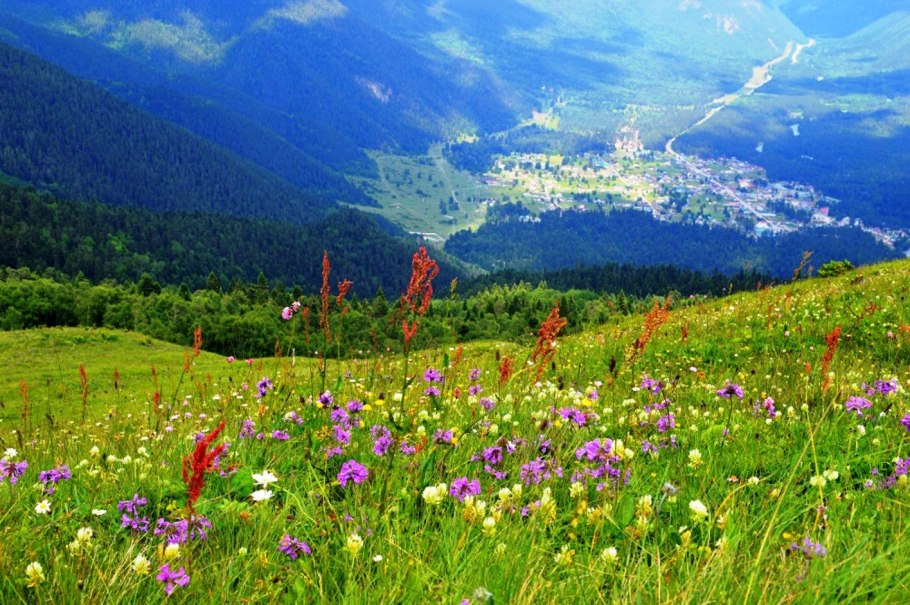 Альпийские Луга Приэльбрусья