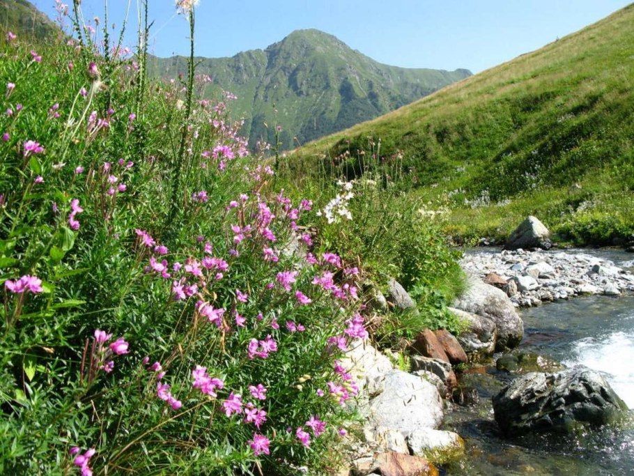 Тебердинский лес в Невинномысске