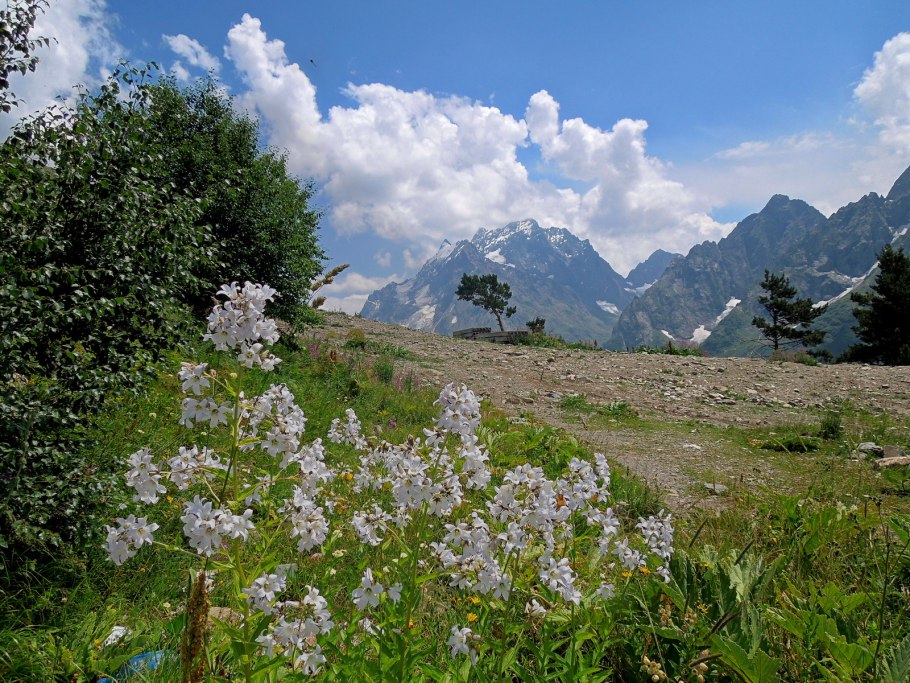 Альпийские луга карачаево-черкесии