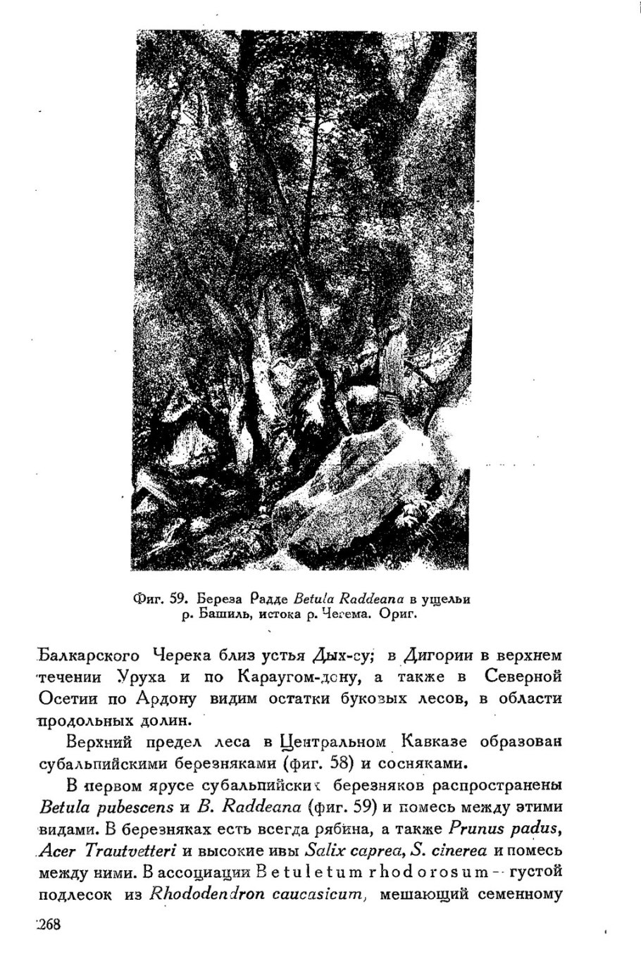 Центральный кавказ