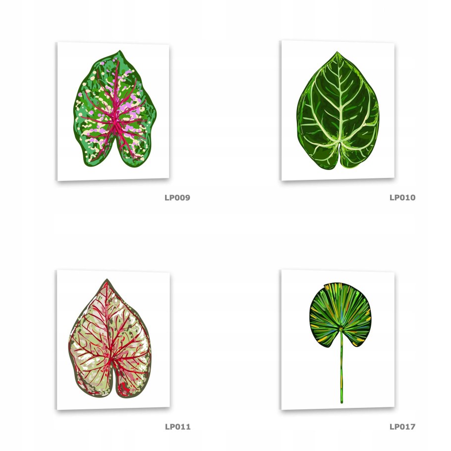 Лист Бодхи вектор PNG