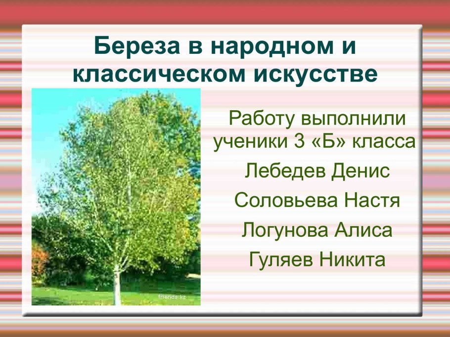 Береза повислая Плантариум