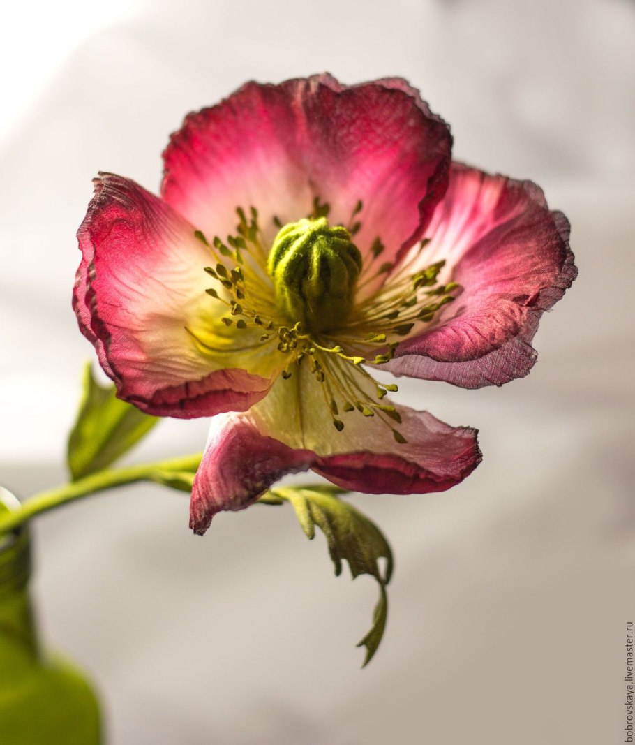 Маки в пэчворке