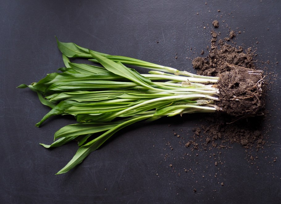 Песто соус с петрушкой