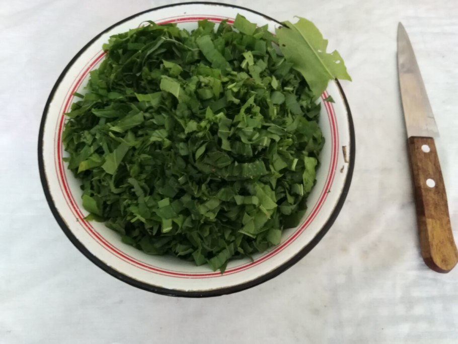 Черемша стручковая