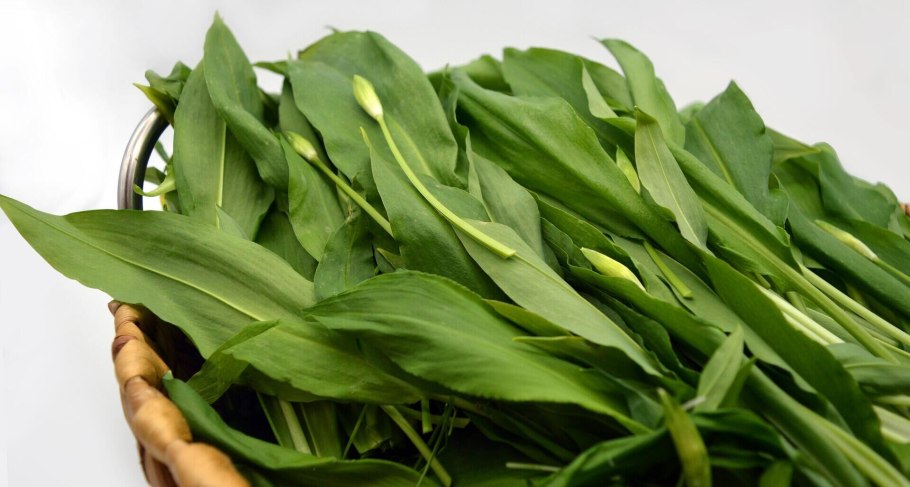 Соус песто с черемшой