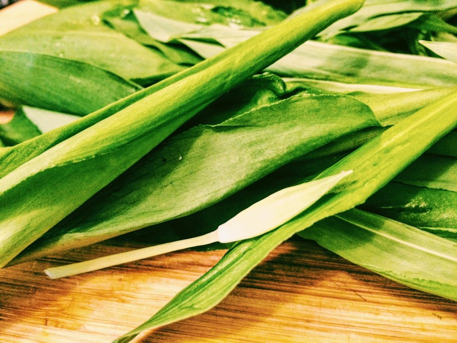 Bear&#96;s garlic что это